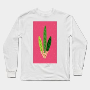 Lulav Dark Pink Print Long Sleeve T-Shirt